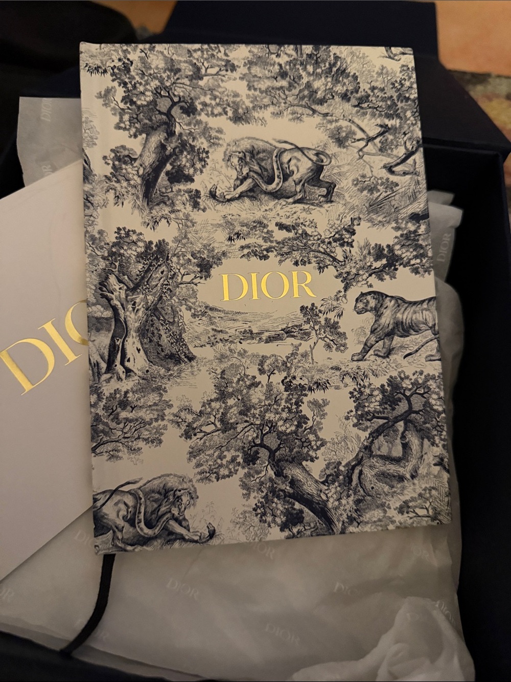 Dior notebook